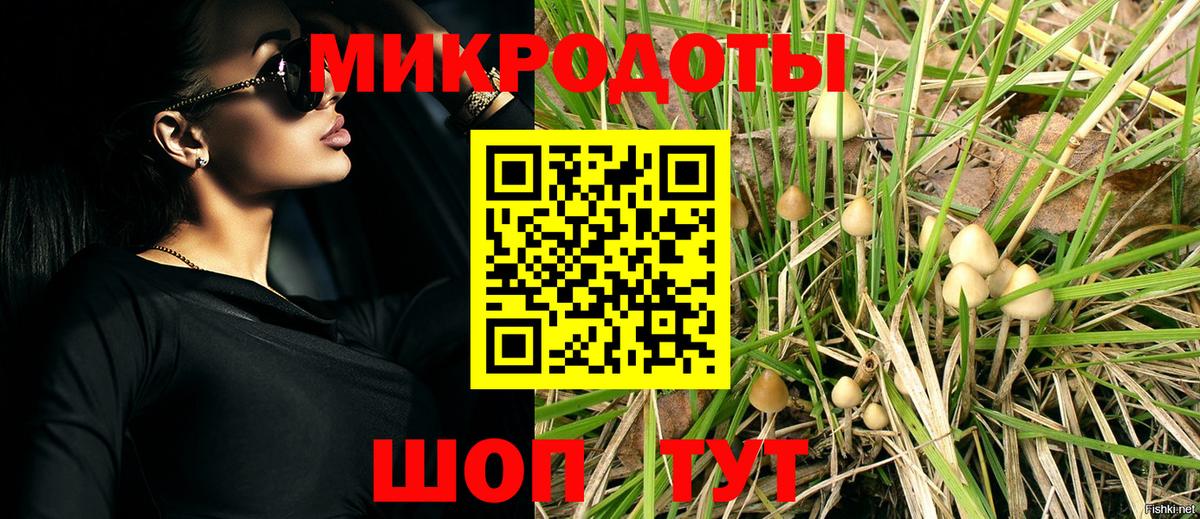 Псилоцибиновые грибы мухоморы Димитровград