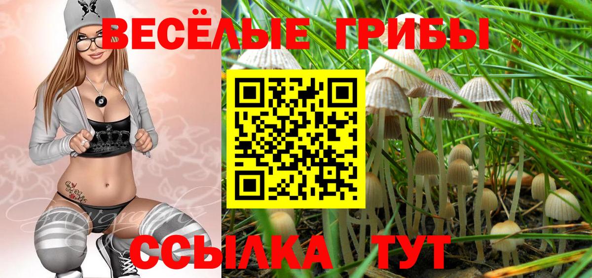 ЭКСТАЗИ  Каннабис  Меф МЯУ МЯУ  Димитровград  Мефедрон   Вход с VPN  Гашиш  Гашиш  Купить наркотики 