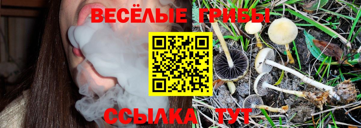 Галлюциногенные грибы Magic Shrooms  Вход с VPN  Димитровград 