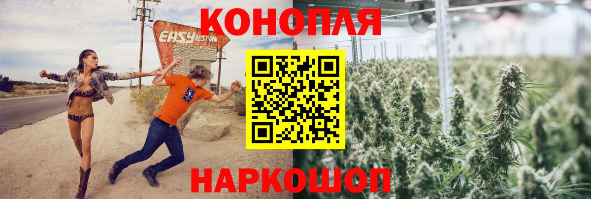 Бошки марихуана OG Kush  Каннабис MAZAR  Димитровград  Марихуана AK-47  Вход с VPN 